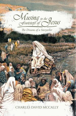 Cover of the book Musing in the Footsteps of Jesus by Brenda Ayres
