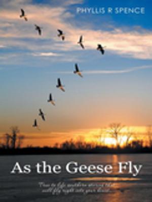 Cover of the book As the Geese Fly by Bobbi Jane Huerta