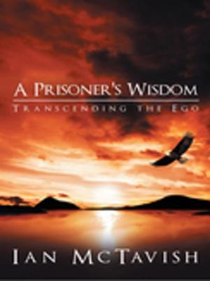 Cover of the book A Prisoner's Wisdom by Brian Rhodes