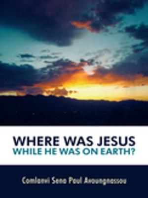 Book cover of Where Was Jesus While He Was on Earth?