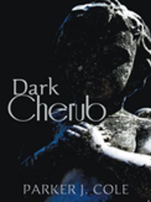 Book cover of Dark Cherub