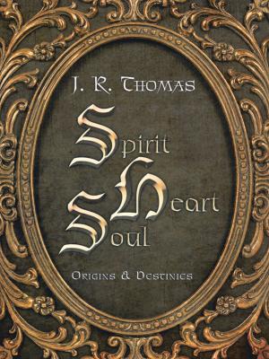 Cover of the book Spirit Heart Soul by Comlanvi Sena Paul Avoungnassou