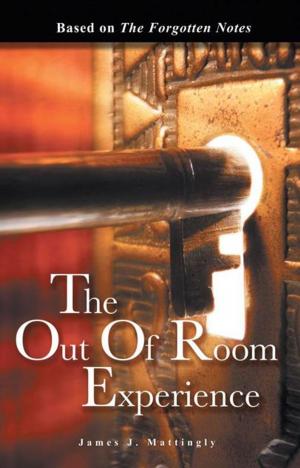 Cover of the book The out of Room Experience by Saralyn Smith McLean