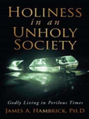 Cover of the book Holiness in an Unholy Society by L. Kay Adams