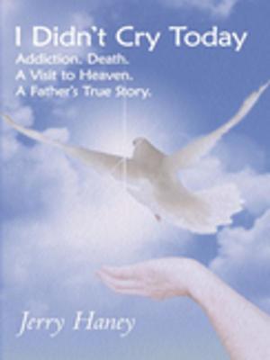 Cover of the book I Didn't Cry Today by Ken Caffey