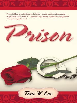Cover of the book Prison by David Allen Smith M.D.