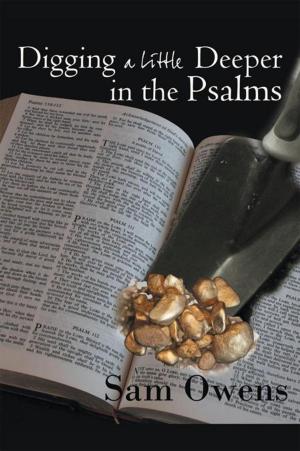 Cover of the book Digging a Little Deeper in the Psalms by Cellestine Hannemann