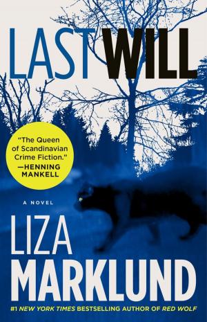 Cover of the book Last Will by Anjanette Delgado