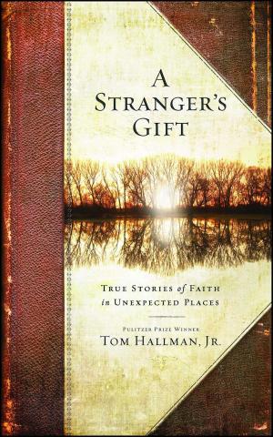 Cover of the book A Stranger's Gift by Jennifer Wilder Morgan