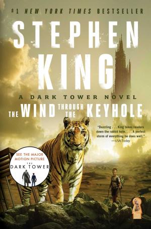 Book cover of The Wind Through the Keyhole