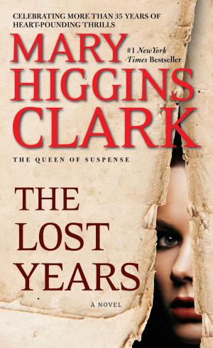 Cover of the book The Lost Years by D.N. Hoxa