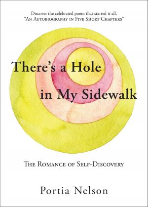 Cover of the book There's a Hole in My Sidewalk by Nicolle Wallace
