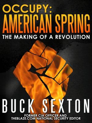 Book cover of Occupy: American Spring