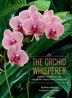 Cover of the book The Orchid Whisperer by David Joachim, Andrew Schloss