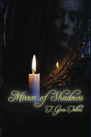 Cover of Mirror of Shadows