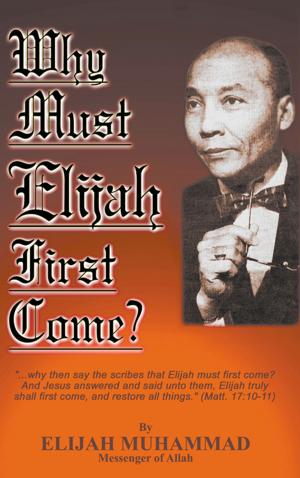 Cover of the book Why Must Elijah First Come by Nasir Makr Hakim