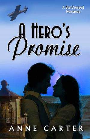 bigCover of the book A Hero's Promise by 