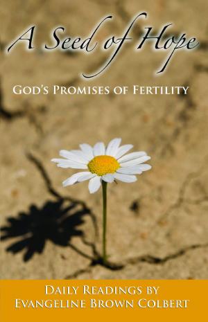 Cover of the book A Seed of Hope: God's Promises of Fertility by Anodea Judith