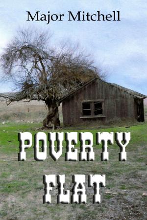 Cover of the book Poverty Flat by Wiley Joiner, Robert Jernigan