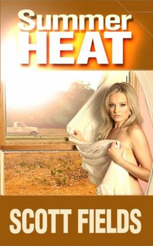 Cover of the book Summer Heat by J.R. - The Alphabet Guy