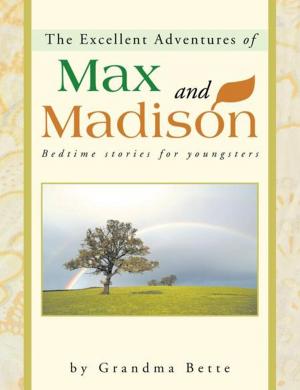 Cover of the book The Excellent Adventures of Max and Madison by Michele Marie Tate