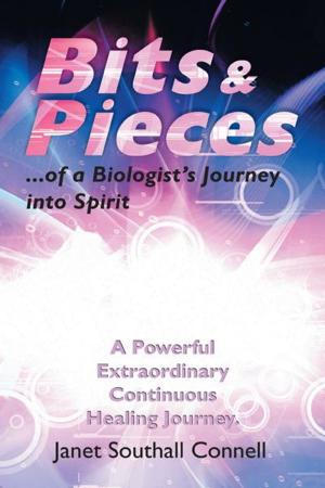 Cover of the book Bits & Pieces by Brenda Kelleher-Flight