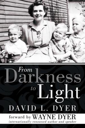 Cover of the book From Darkness to Light by Charles R. Johnstone