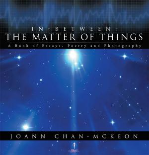 Cover of the book In-Between: the Matter of Things by Antoinette Canada