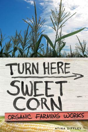 Cover of the book Turn Here Sweet Corn by Michael Cannan