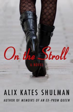 Cover of the book On the Stroll by Kathy Wagenknecht