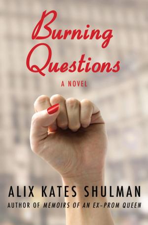 Cover of the book Burning Questions by Catherine O'Sullivan Shorr