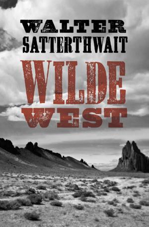 Cover of the book Wilde West by Roger Parkinson