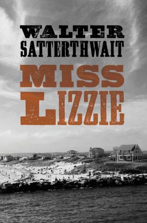 Cover of the book Miss Lizzie by R.A. James