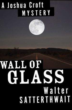 bigCover of the book Wall of Glass by 