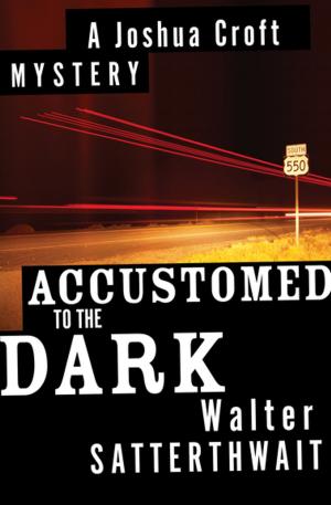 Cover of the book Accustomed to the Dark by C Moretz