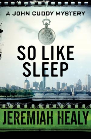 Book cover of So Like Sleep