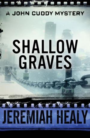 Cover of the book Shallow Graves by Gérard de Villiers
