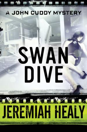 Cover of the book Swan Dive by John Wilsterman