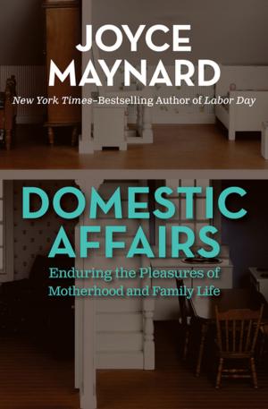 Book cover of Domestic Affairs: Enduring the Pleasures of Motherhood and Family Life
