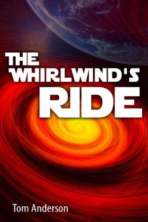 Book cover of The Whirlwind's Ride