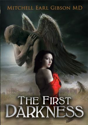 Cover of the book The First Darkness by Matt Andrews