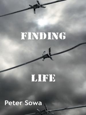 Cover of the book Finding Life by Wendy Weckstein