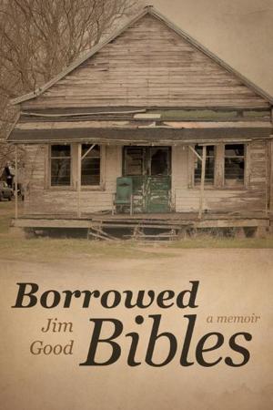 Cover of the book Borrowed Bibles by David Prinz Hufford