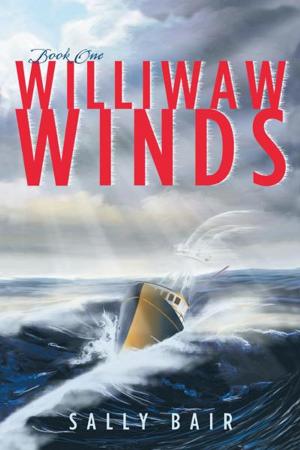 Book cover of Williwaw Winds