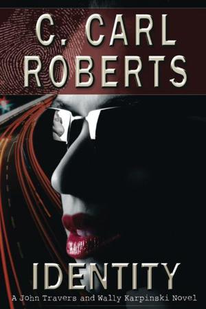 Book cover of Identity