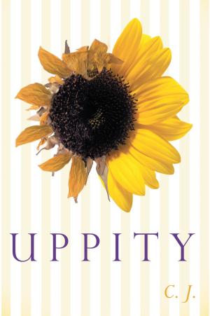 Cover of the book Uppity by Steve Krueger
