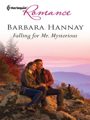 Cover of the book Falling for Mr. Mysterious by Barbara White Daille