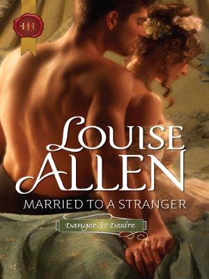 Cover of the book Married to a Stranger by Johna Christensen