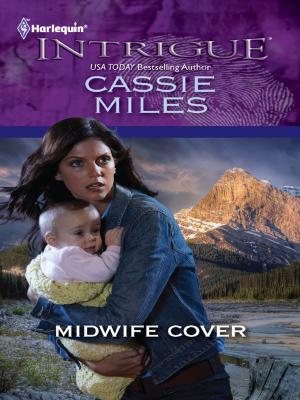 Cover of the book Midwife Cover by Vivian Leiber