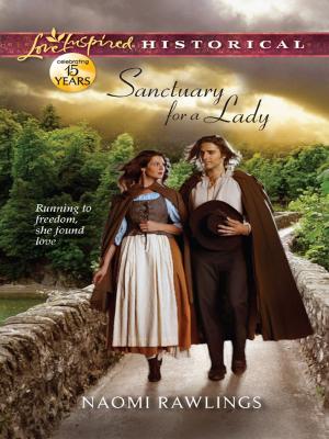 Cover of the book Sanctuary for a Lady by Michelle Sagara